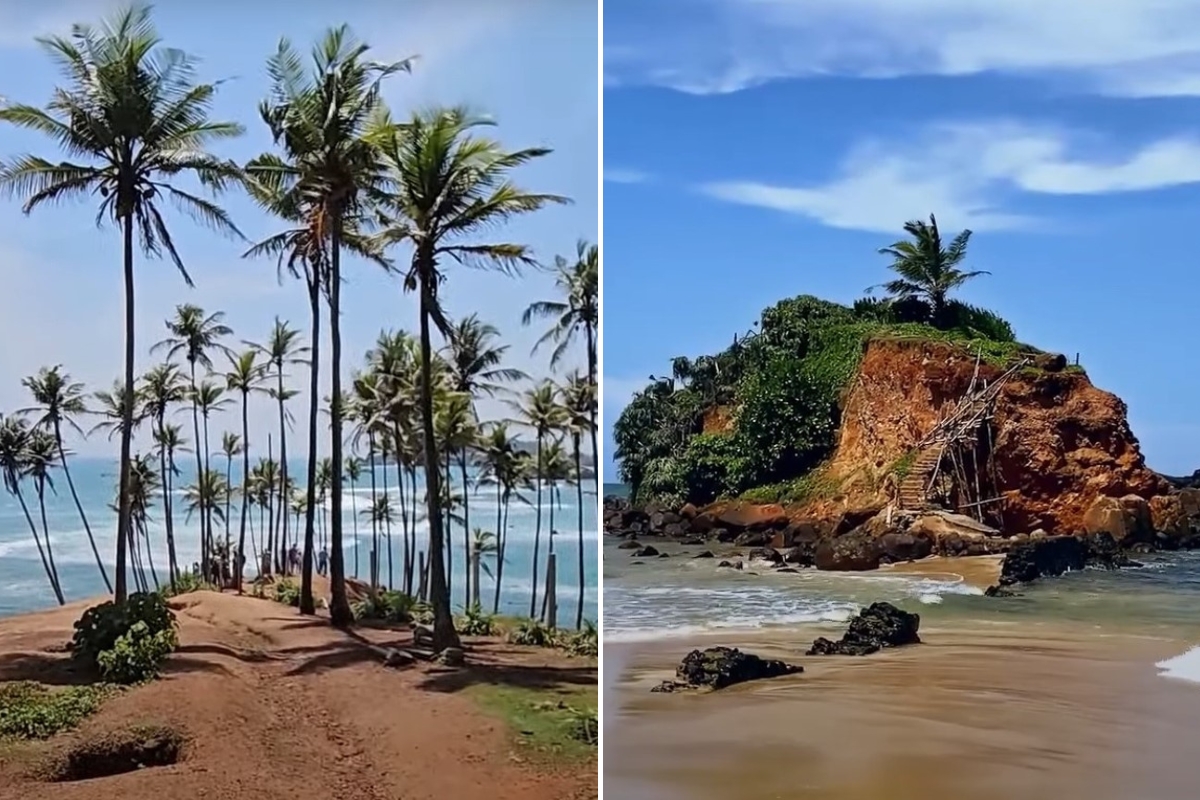 Best Things to Do in Mirissa 